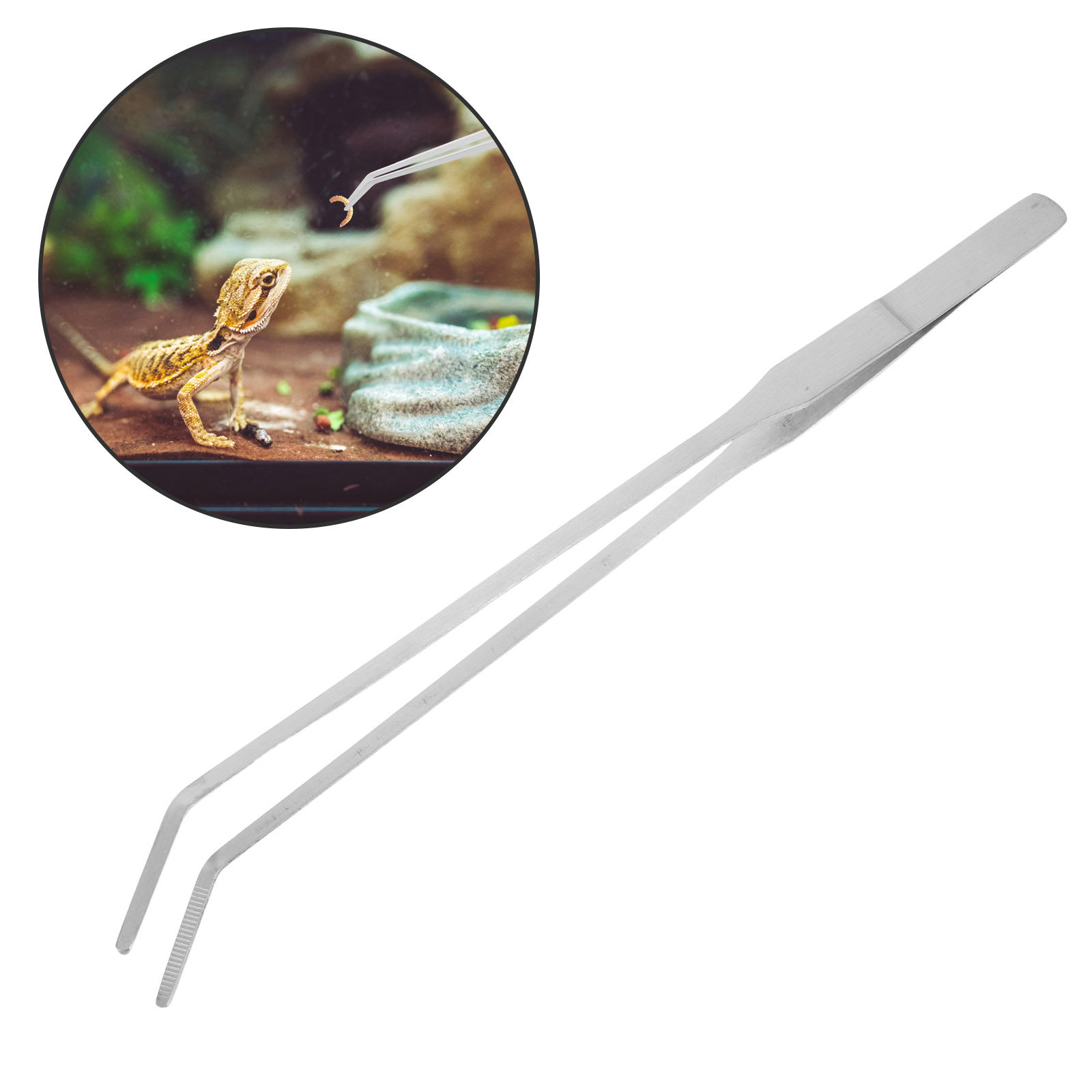 Feeding Tong Stainless - 6Pcs Reptile Feeding Tong Stainless Steel