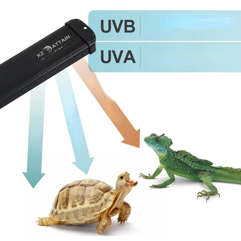 Reptile UVA+UVB Full Spectrum  - огляд і ціна Calcium Powder Reptile