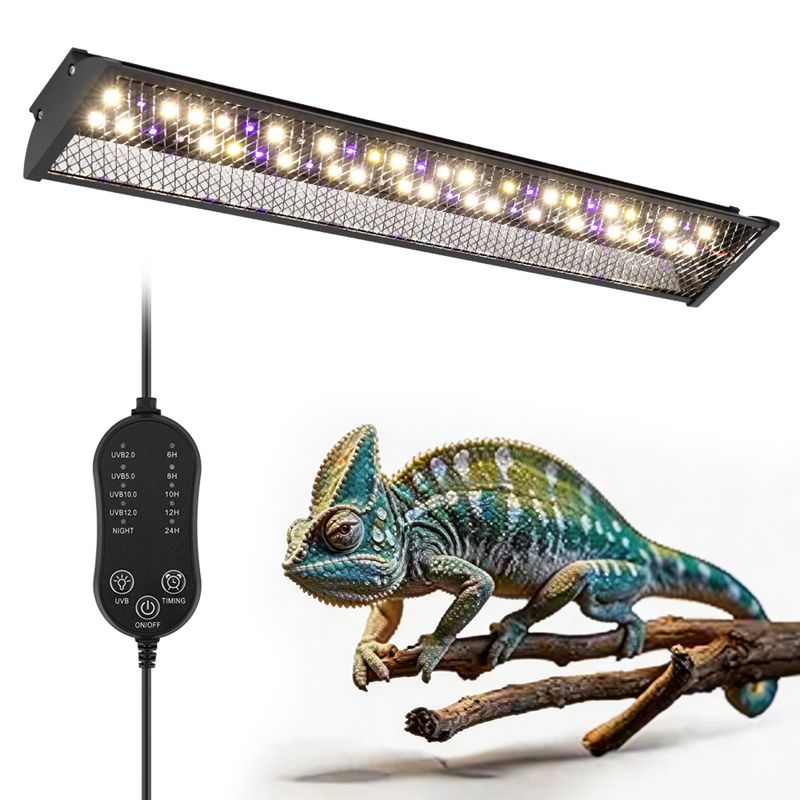 Reptiles Bracket Light Maned L - огляд і ціна Calcium Powder Reptile