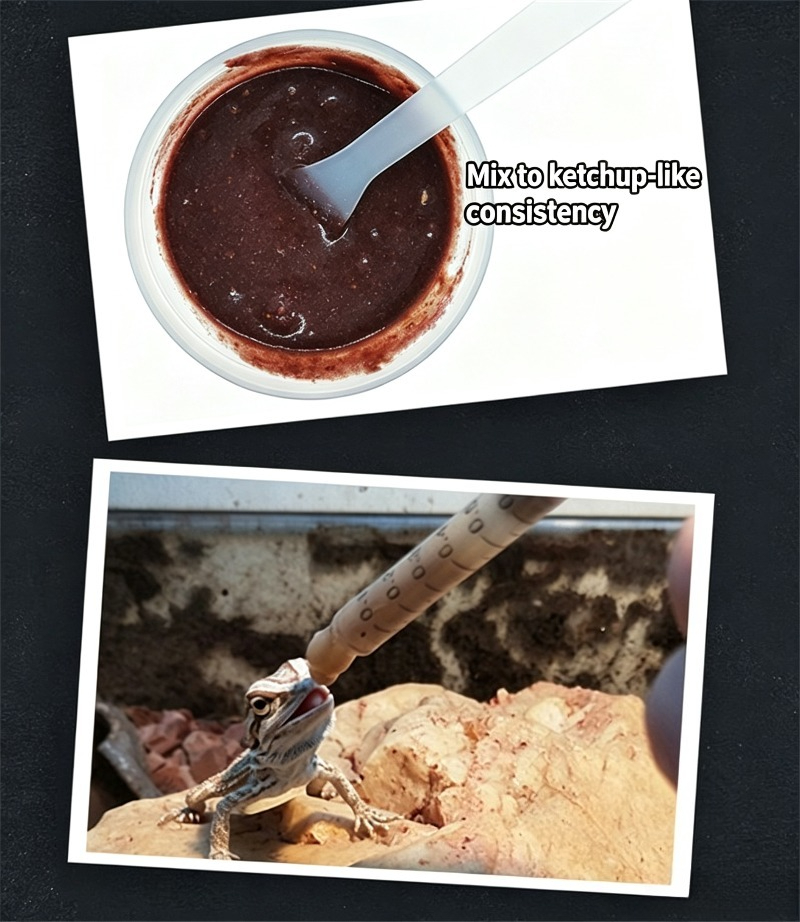 Reptile Food Gecko Insect Frui - огляд і ціна Calcium Powder Reptile