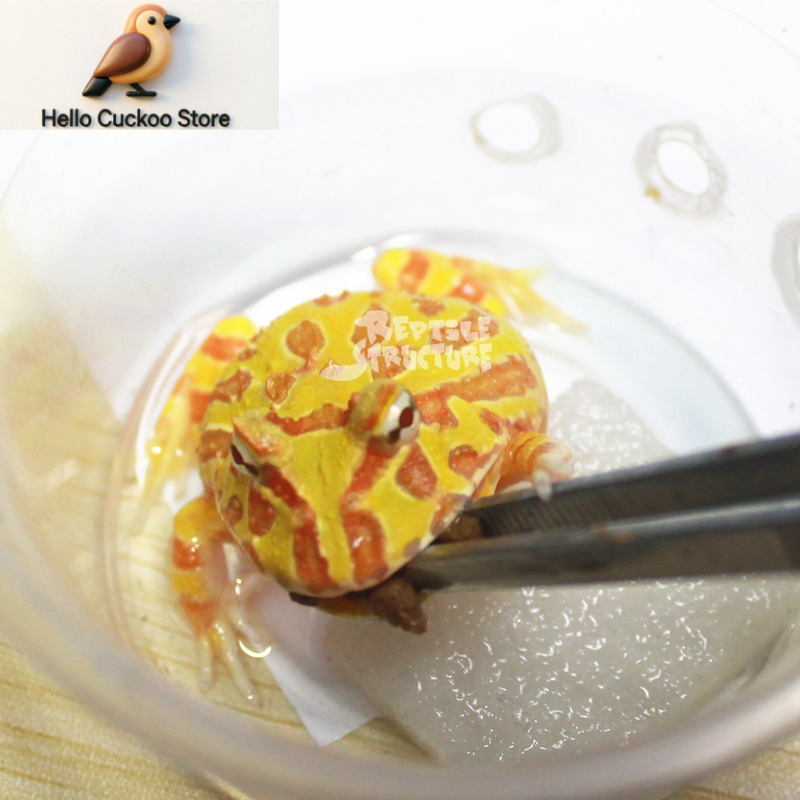 Horned Frog Food Granules Powd - огляд і ціна Calcium Powder Reptile